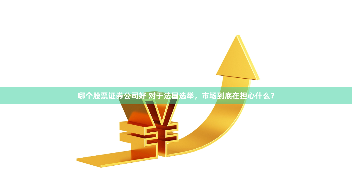 哪个股票证券公司好 对于法国选举，市场到底在担心什么？