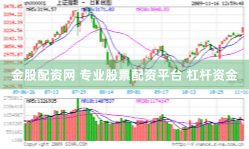 金股配资网 专业股票配资平台 杠杆资金